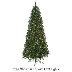 10' No lights