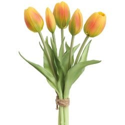 Yellow/Orange