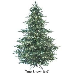 Options – 12' LED