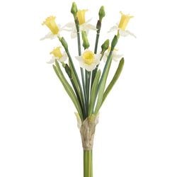White/Yellow