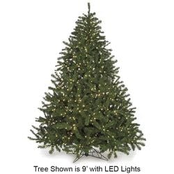 6' Lighted