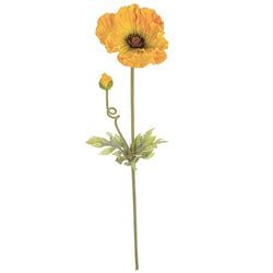 Options – Yellow