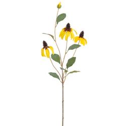 Options – Yellow