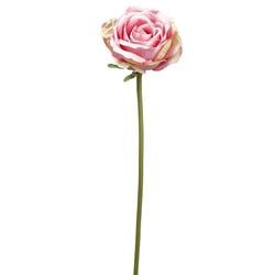 Options – Pink