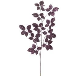 Options – Violet