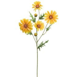 Options – Yellow