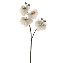 White/Green