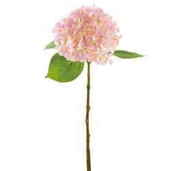 Options – Soft Pink