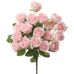 Soft Pink