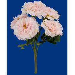 Options – Light Pink