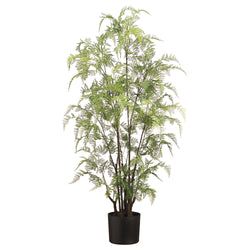 2 plants