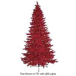 Options – 5' LED