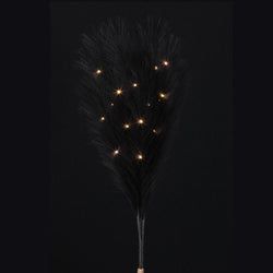 Options – Black