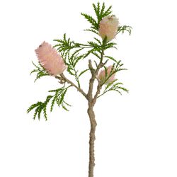 Soft Pink