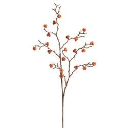 Options – Orange