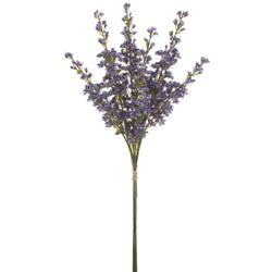 Lavender/Purple