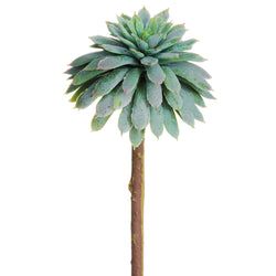 Gray/Green