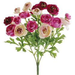 Cerise/Beauty