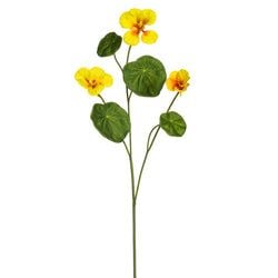 Options – Yellow