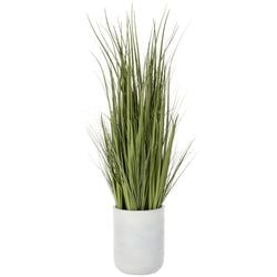 Options – 5'4" White planter