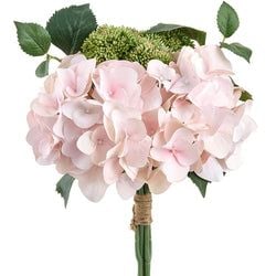 Blush/Pink