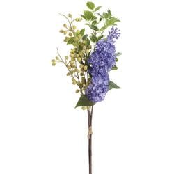Purple/Green