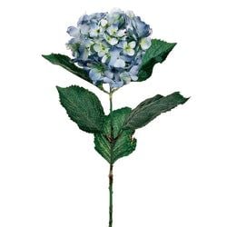 Blue/Green