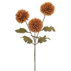 Amber
