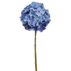 Options – Blue