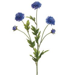 Blue/Delphinium