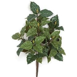 Green - Buds only