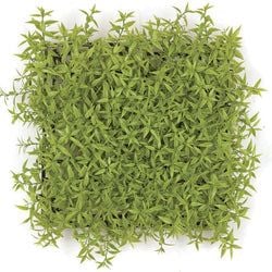 10"x10"x3" Fire Rated
