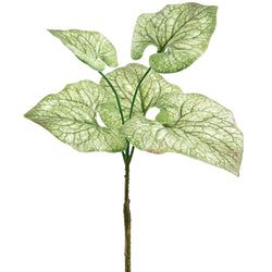 Green/Variegated