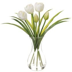 Options – White