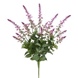 Boysenberry