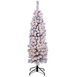 5' Lighted