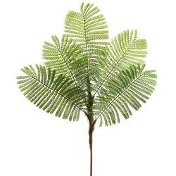 Options – Green