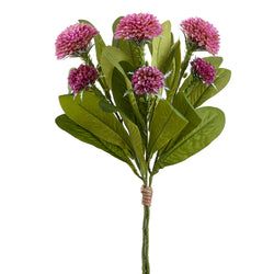 Options – Boysenberry