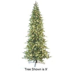 Options – 12' LED