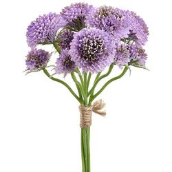 Purple/Lavender