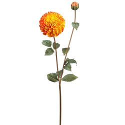 Orange/Yellow