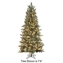 Options – 12' LED