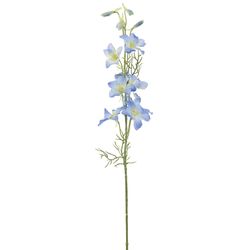 Delphinium Blue
