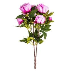 Cerise