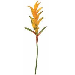 Yellow/Orange