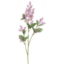 Lavender/Purple