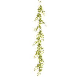 Variegated