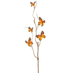 Orange/Brown