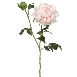 Options – Soft Pink