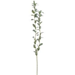 Options – 61" Green/Gray